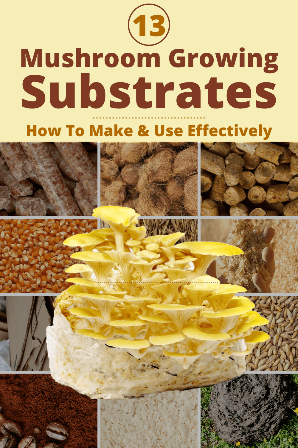 A Complete Guide To The Best Mushroom Substrate Recipe