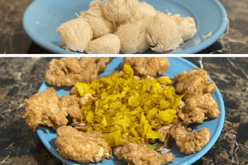 How To Cook Lions Mane Mushroom