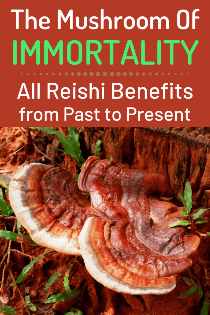 Reishi Mushrooms Anti-Aging Benefits for Skin