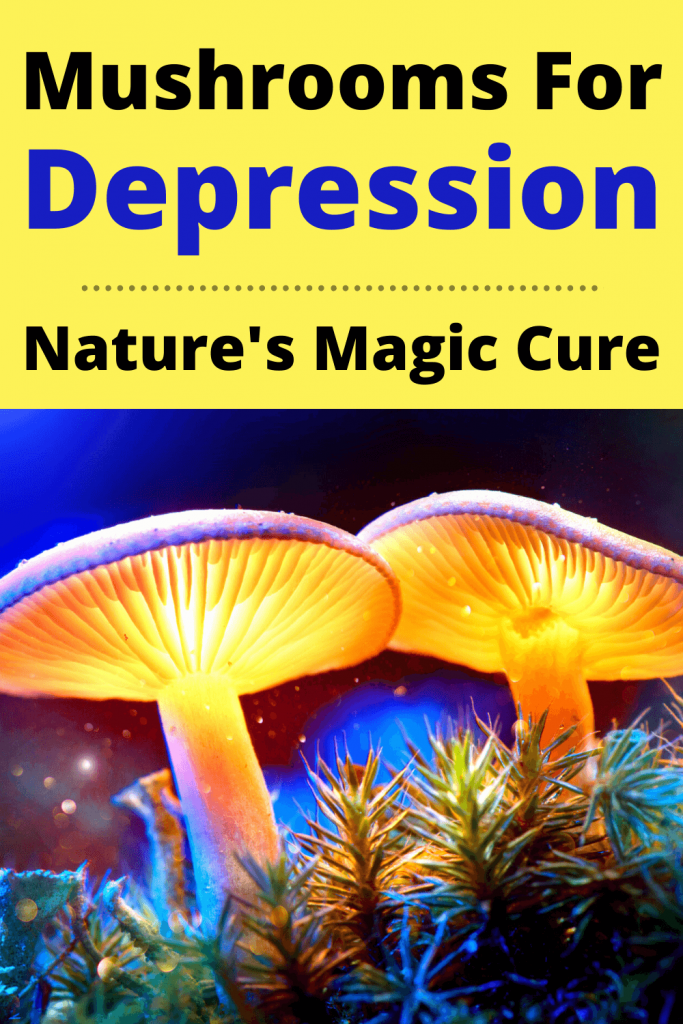 Best Mushrooms Strains for Depression, Anxiety and PTSD