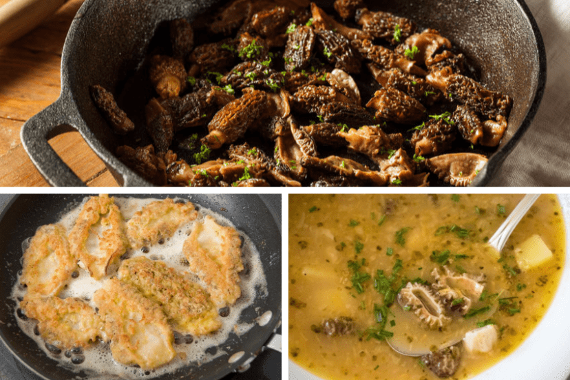 How To Cook Morel Mushrooms