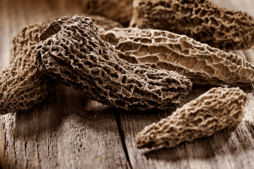 https://blog.curativemushrooms.com/wp-content/uploads/2020/08/how-to-dry-morel-mushrooms-828x552.png