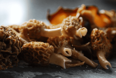 How To Store Morel Mushrooms