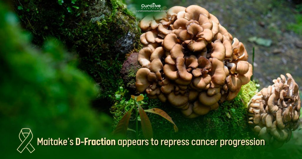 Maitake Mushroom Health Benefits & Nutrition Facts