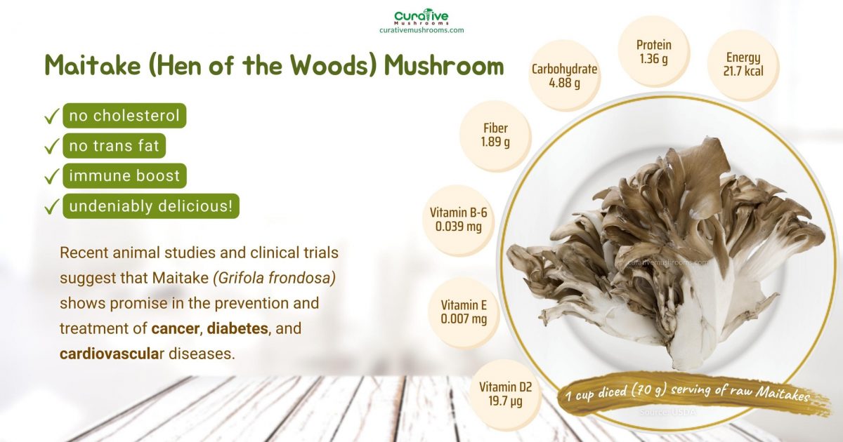Maitake Mushroom Health Benefits & Nutrition Facts