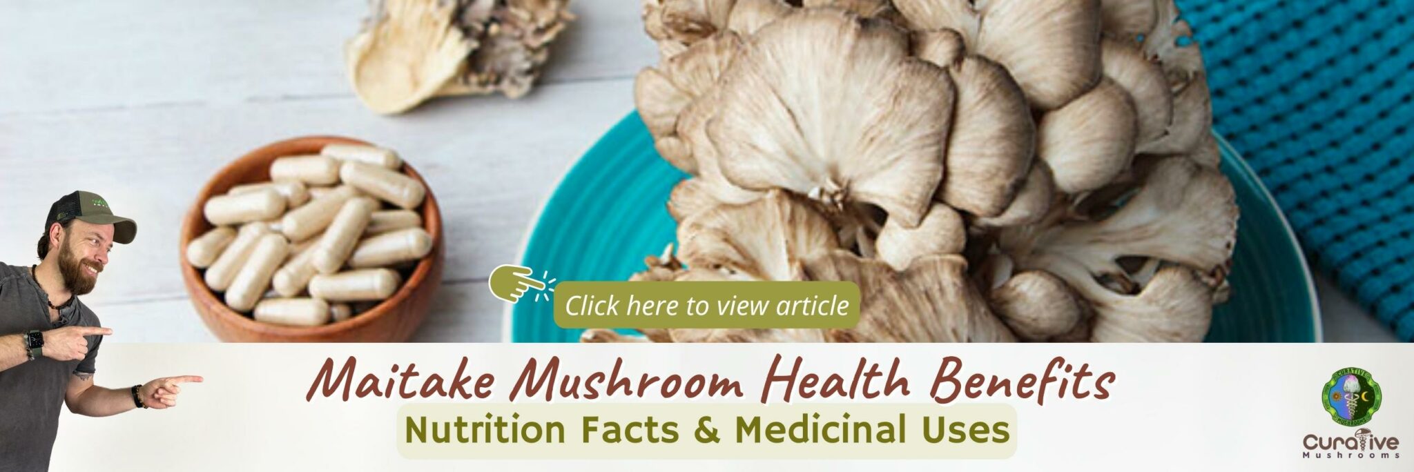 Hen of the Woods (Maitake Mushrooms) Identification Guide