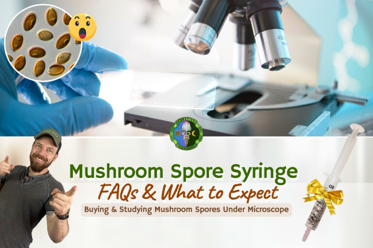 Mushroom Premium Quality Spores Syringe FAQS
