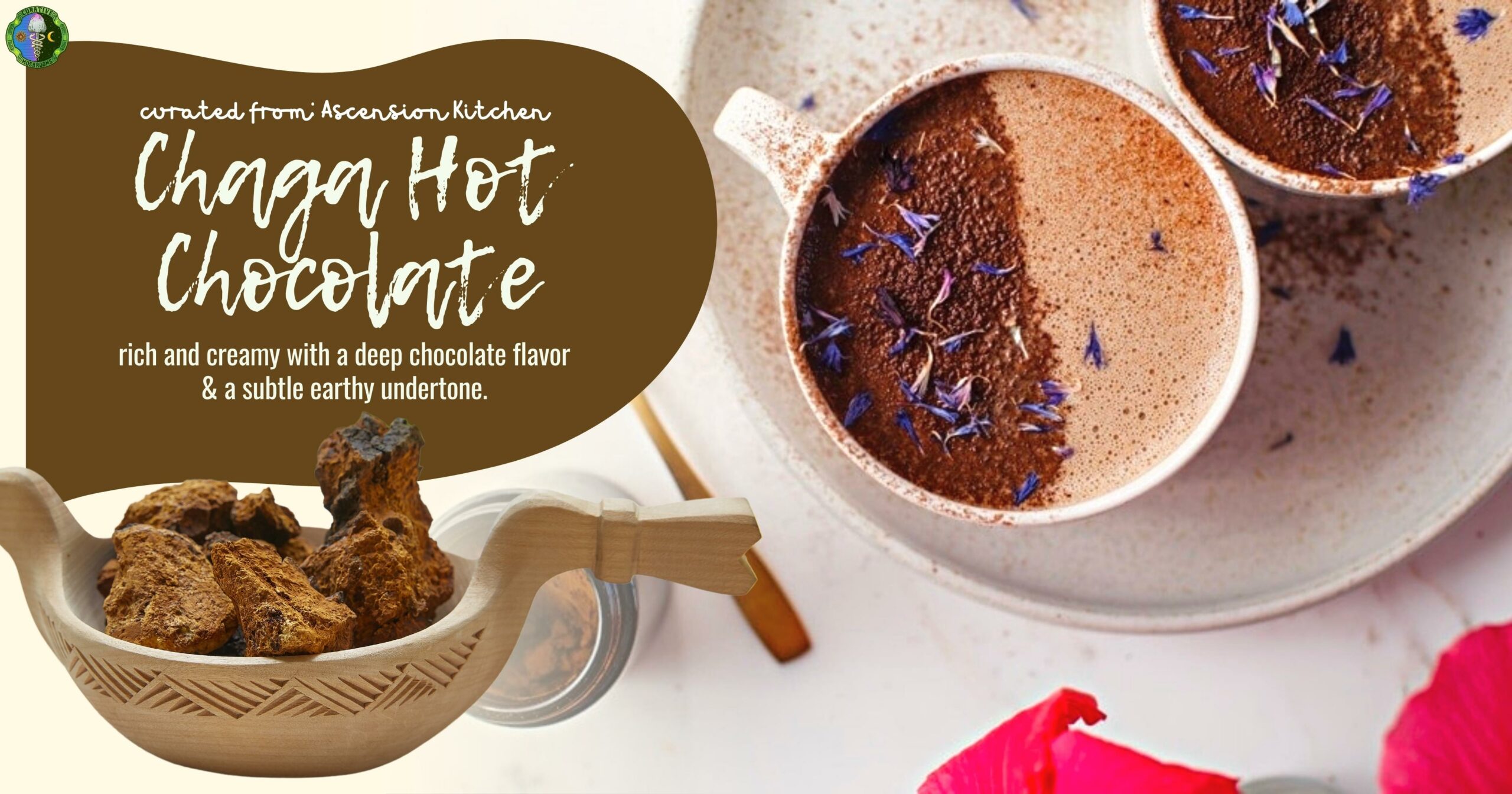 Chaga Hot Chocolate - rich and creamy with a deep chocolate flavor, a subtle earthy undertone