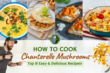 How To Cook Chantrelles - Top 8 Chantrelle Mushroom Recipes - Easy And Delicious Chanterelle Recipes - Soup, Omelet, Pasta, Grilled, Sauteed, Roasted, Salad