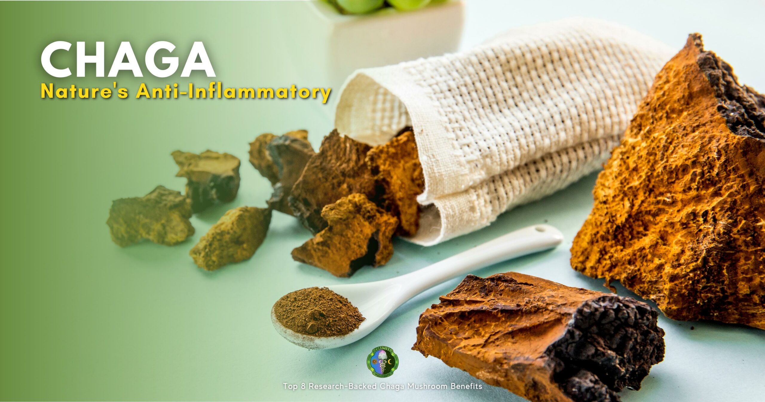 Top 8 Research-Backed Chaga Mushroom Benefits - Anti-inflammatory - triterpenes and polysaccharides - inhibit the production of inflammatory molecules - reduce inflammation in human colon cells