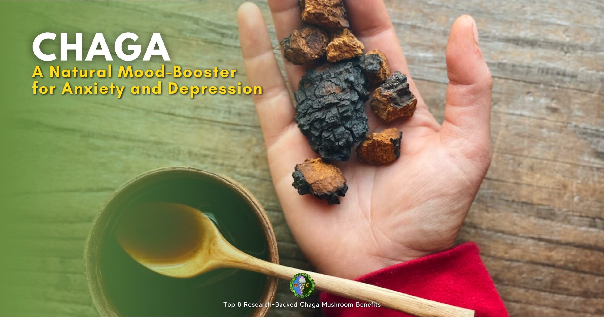 Top 8 Research-Backed Chaga Mushroom Benefits - Manage anxiety and depression - ergothioneine - reduce symptoms of anxiety and depression-like behavior
