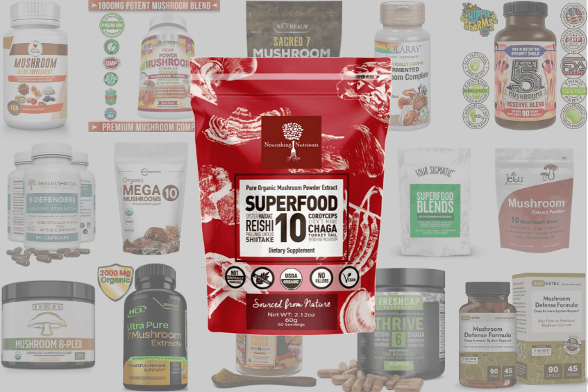 Top 15 Best Mushroom Supplements, Blends & Powders Brands Reviews