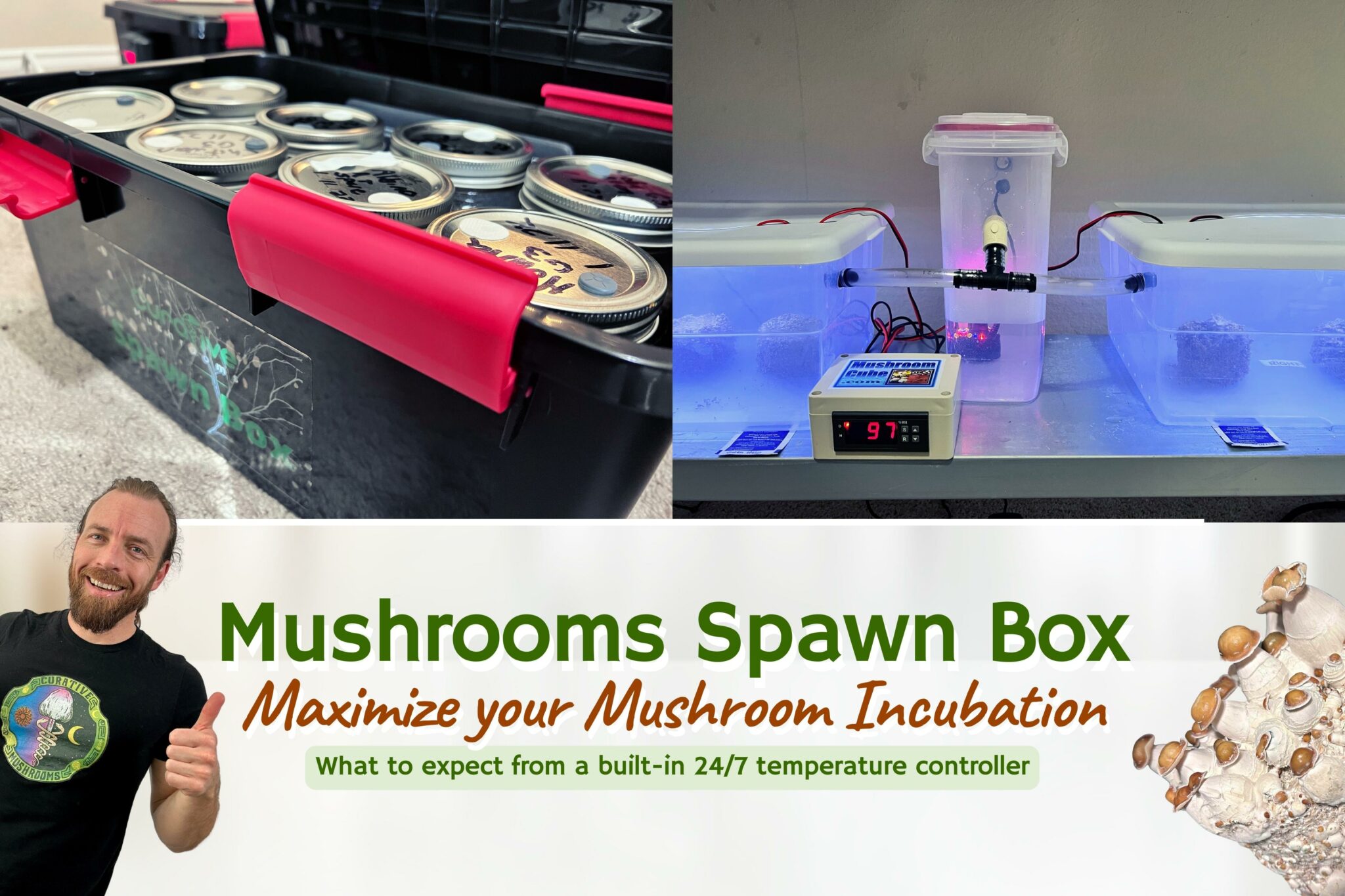 Mushroom Incubation Chamber Curative Mushrooms Spawn Box