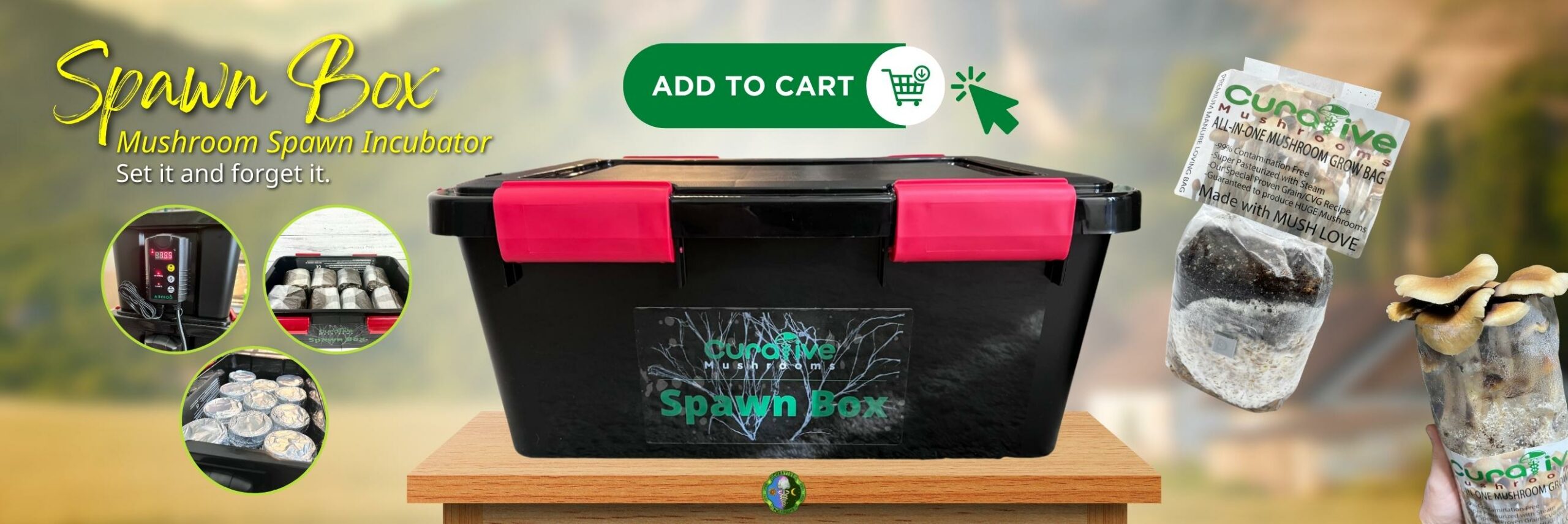 Curative Mushrooms Spawn Box discounted - Mushroom Spawn Incubator - Mushroom Growing Equipment - Add to Cart