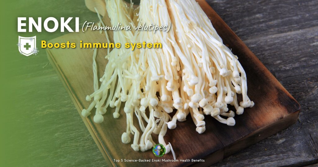 Enoki Mushroom Benefits & Nutrition Facts