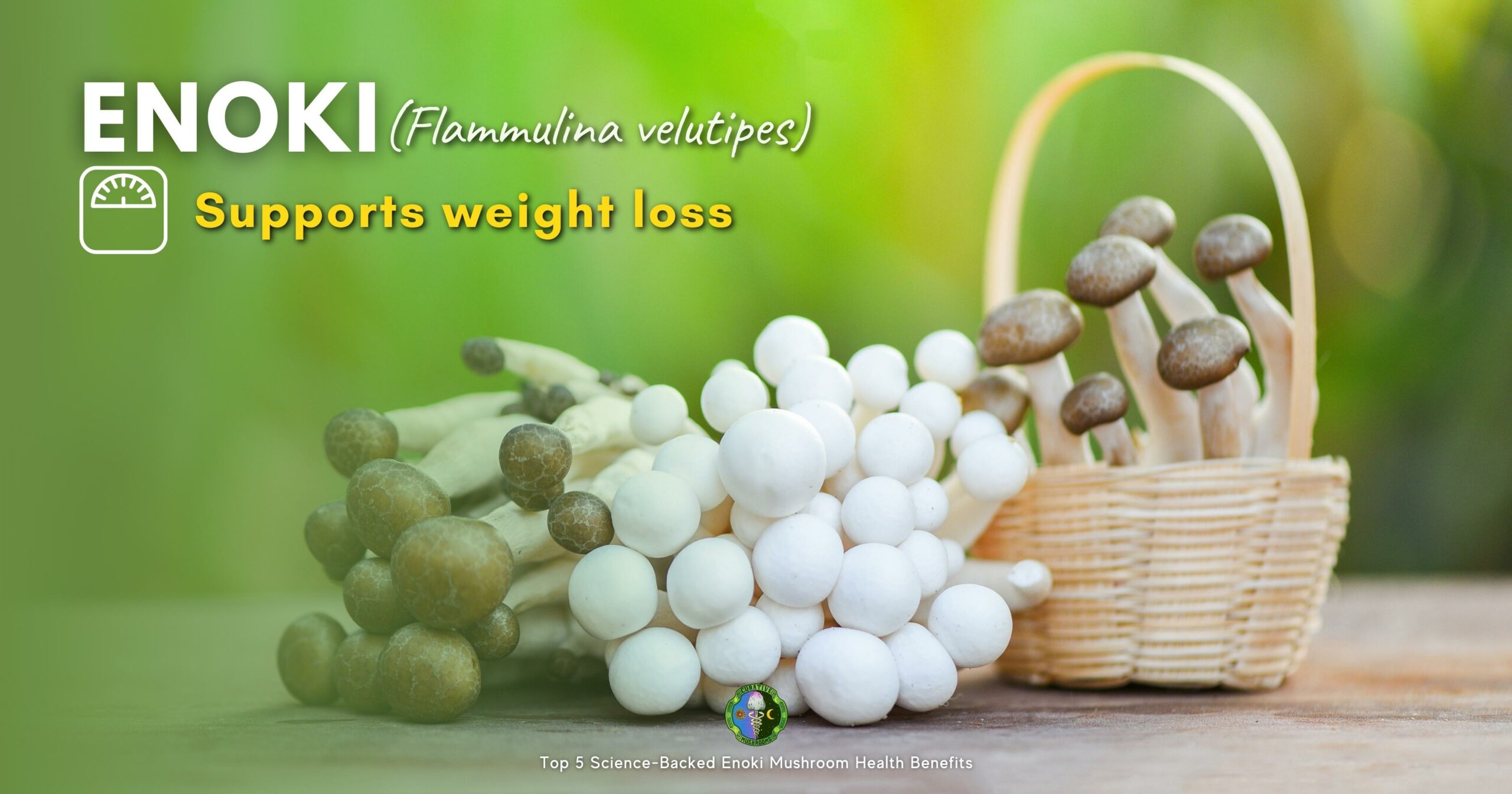 Enoki mushroom benefits health by Supporting weight loss - high fiber and linoleic acid essential omega-6 fatty acid promote feelings of fullness and regulate fat metabolism