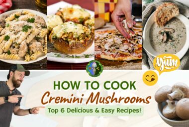 How To Cook Cremini Mushrooms - Top 6 Best Cremini Mushroom Recipes