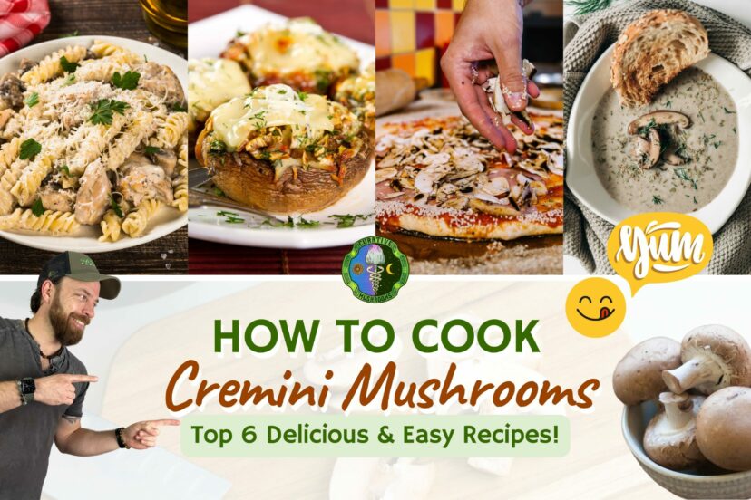 How To Cook Cremini Mushrooms - Top 6 Best Cremini Mushroom Recipes