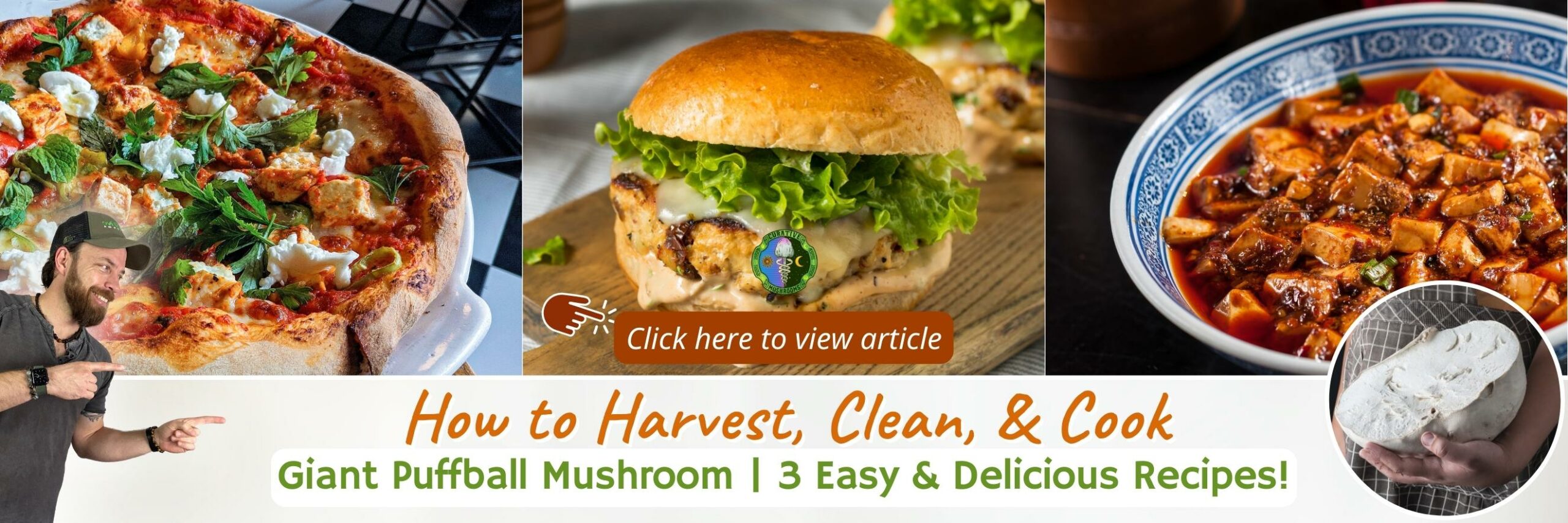 How to Harvest, Clean, & Cook Giant Puffball Mushroom - 3 Easy & Delicious Recipes - Click here to view article