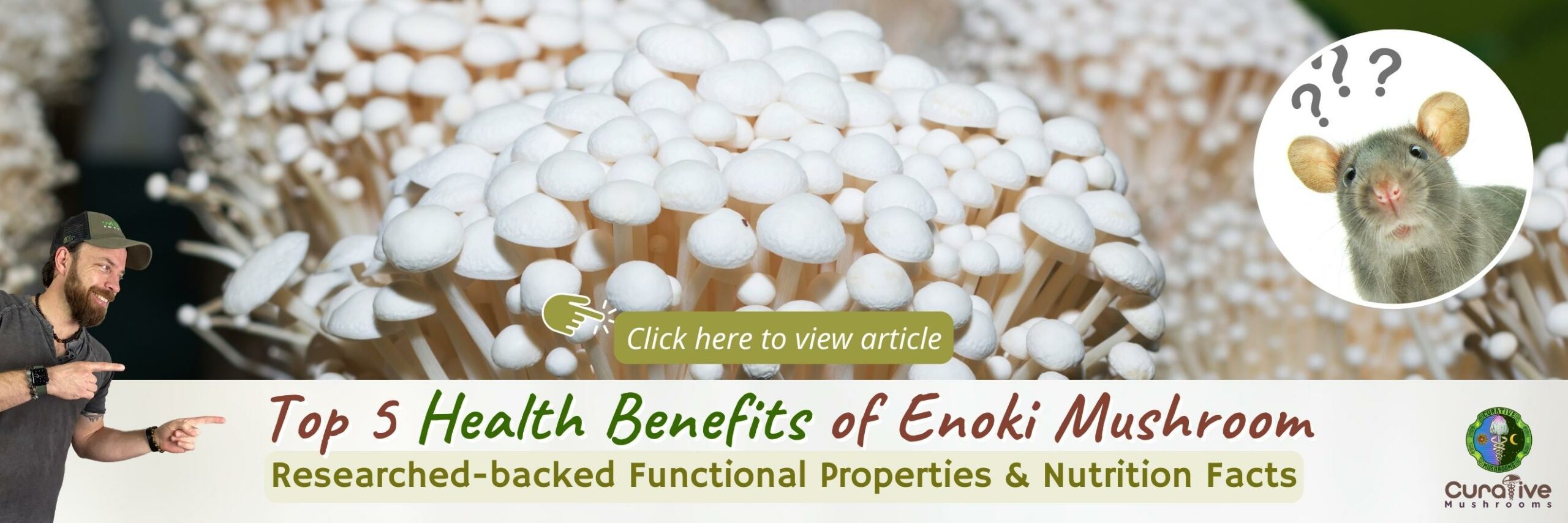 Top 5 Health Benefits of Enoki Mushroom - Researched-backed Functional Properties & Nutrition Facts - Click here to view article