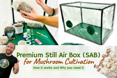 Best Premium Still Air Box (SAB) For Mushroom Growing - How It Works And Why You Need It