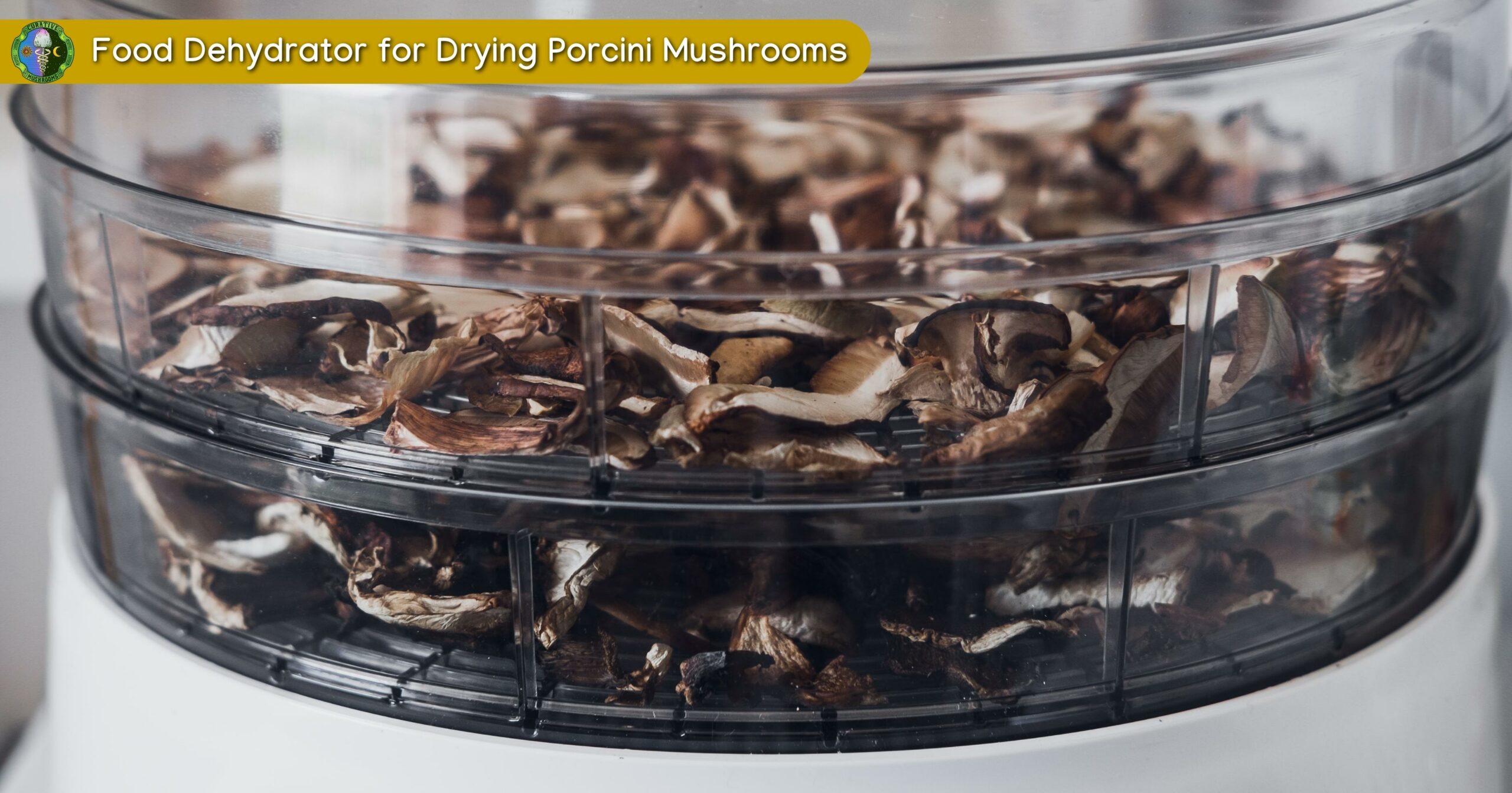 Food Dehydrator for Drying Porcini Mushrooms