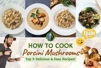 How To Cook Porcini Mushrooms - Top 5 Delicious & Easy Porcini Mushroom Recipes - Risotto, Pasta, Creamy Soup, Sauteed