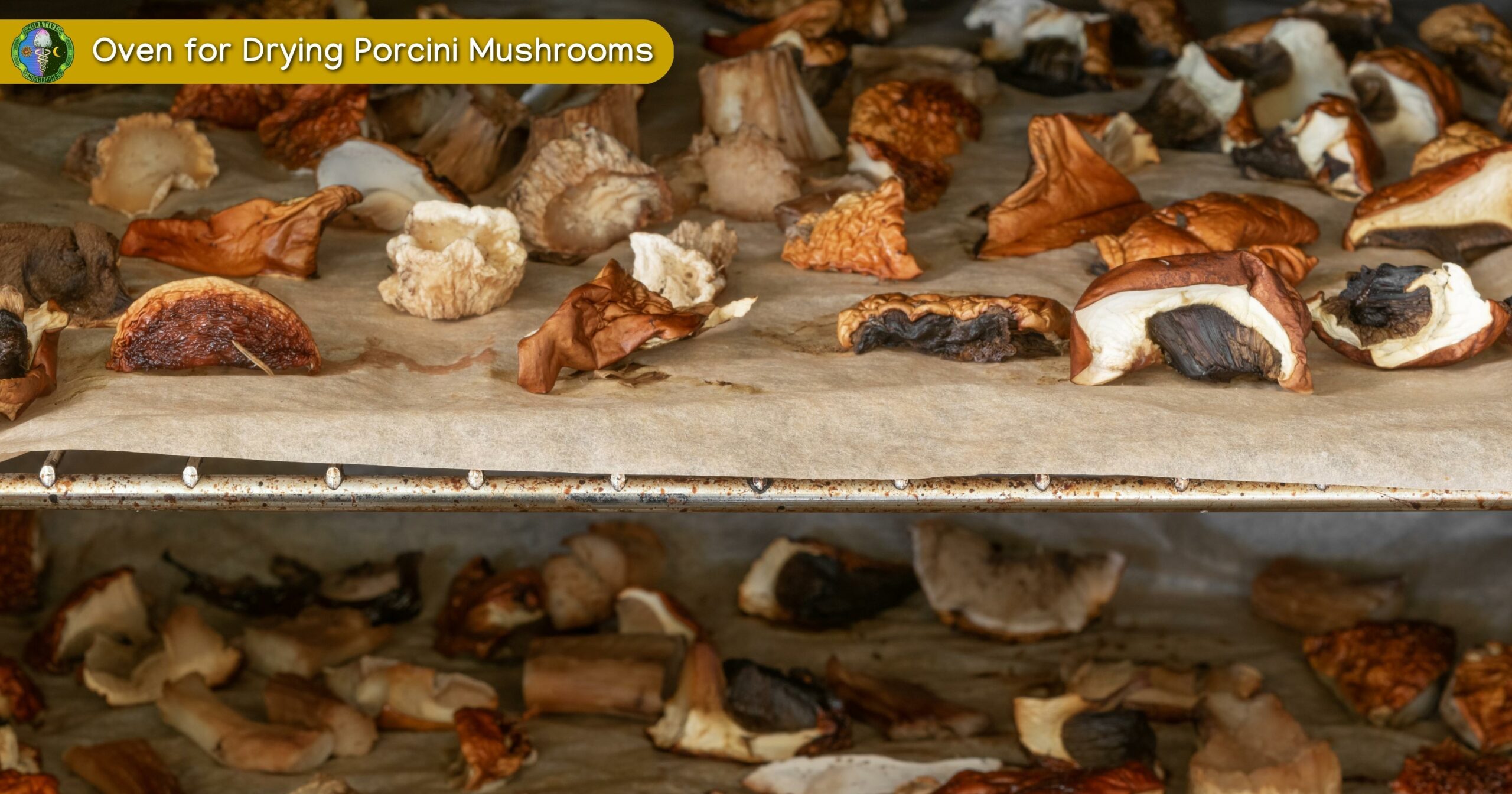 Porcini Mushrooms Drying Using Oven