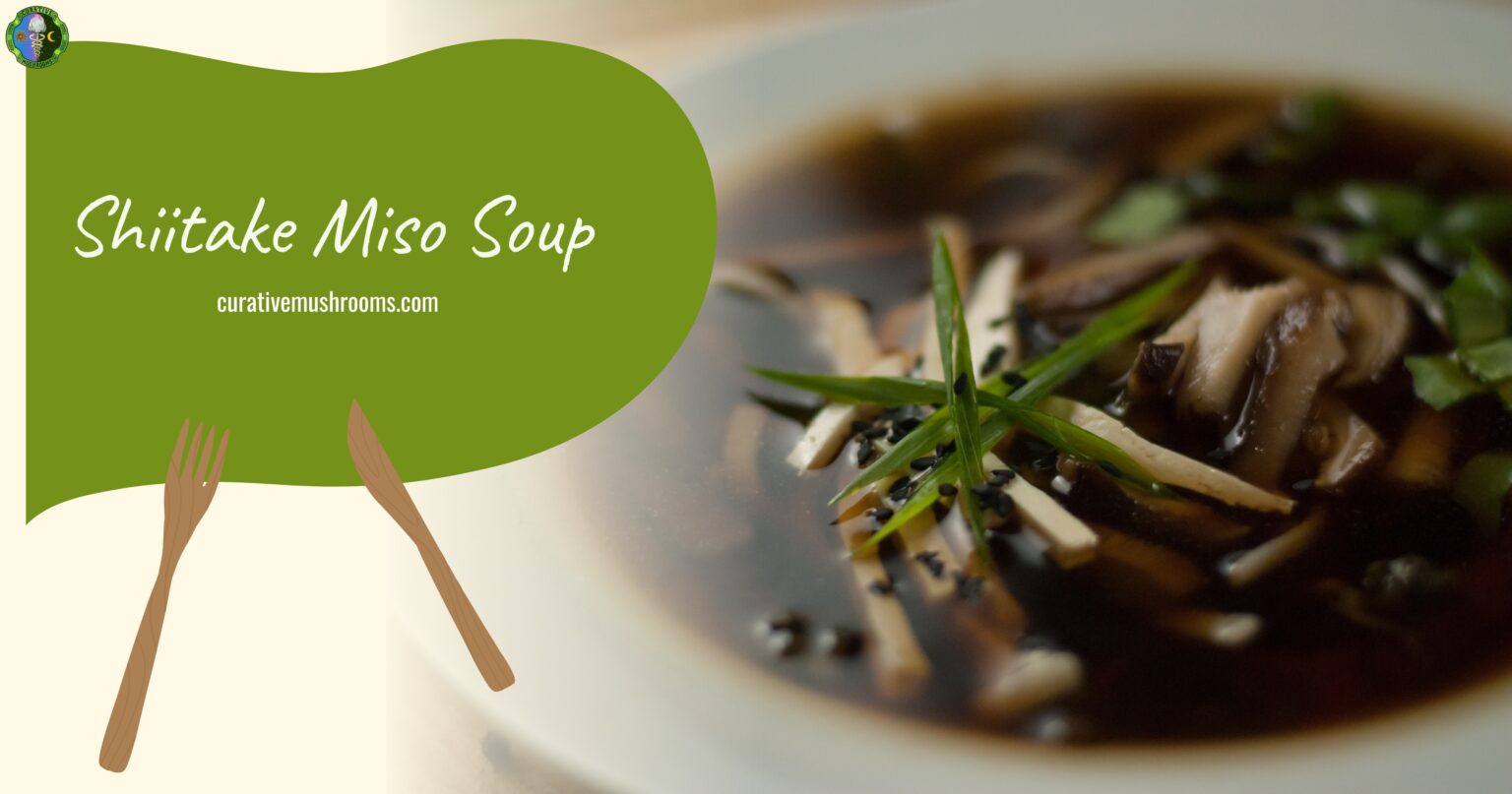 How to Cook Shiitake Mushrooms Top Shiitake Mushroom Recipes