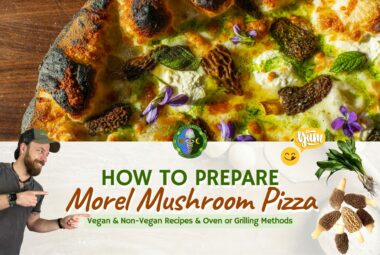 Vegan Non-Vegan Ramp Morel Mushroom Pizza Recipe - 5 Ways To Bake Morel Pizza - Obtain From Farmers' Markets, Specialty Grocery Stores, Online Retail, Foraging - Oven, Skillet, Microwave, Toaster, Grill
