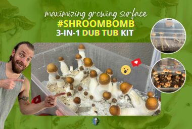 Dub Tub Tek Step-by-Step Instructions For Fruiting With Curative Mushrooms' 3-In-One #ShroomBomb Tub Kit - Tub, Grains Bag, CVG Bag, Spore Syringe, Tub