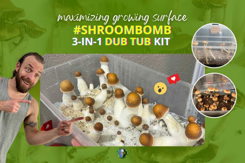 Dub Tub Tek Step-by-Step Instructions For Fruiting With Curative Mushrooms' 3-In-One #ShroomBomb Tub Kit - Tub, Grains Bag, CVG Bag, Spore Syringe, Tub