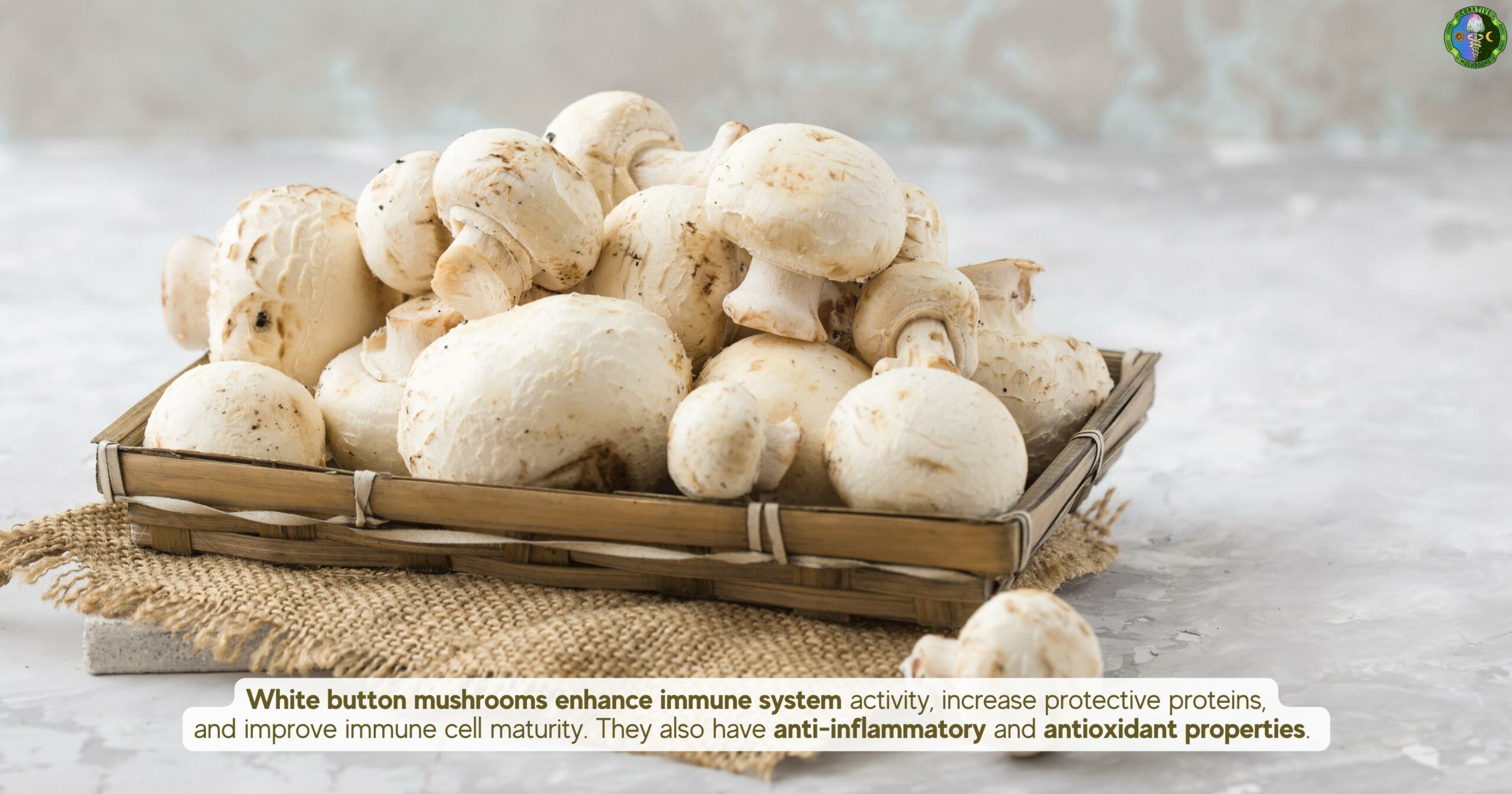 Health Benefits of White Button Mushrooms - enhance immune system activity, increase protective proteins, anti-inflammatory and antioxidant properties