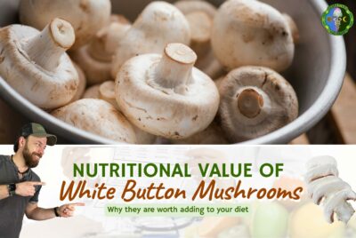 White Button Mushroom Nutritional Value - What Are White Button Mushrooms - Are White Button Mushrooms Good For You - Health Benefits Of White Button Mushrooms