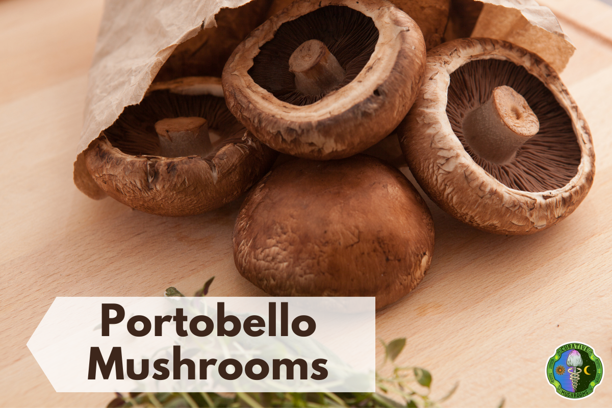 10 Best Cremini Mushrooms Substitutes 