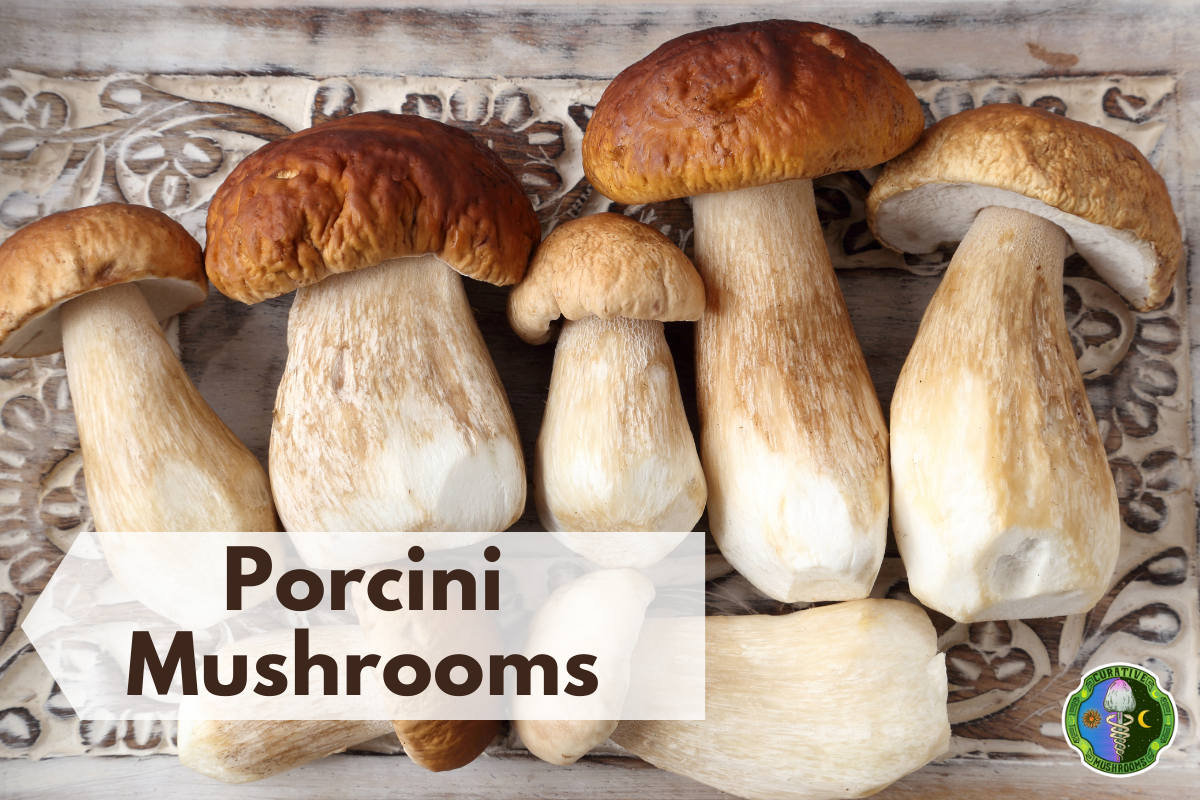 10 Best Cremini Mushrooms Substitutes 