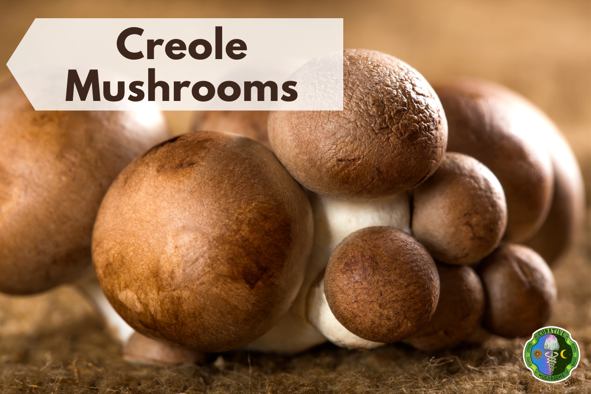 10 Best Cremini Mushrooms Substitutes 