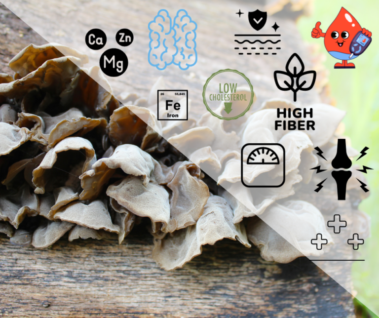 Wood Ear Mushrooms Health Benefits and Nutrition Facts