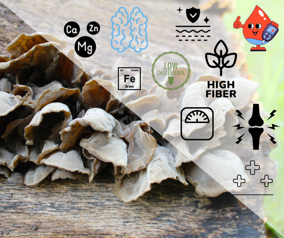 wood ear msuhroom benefits