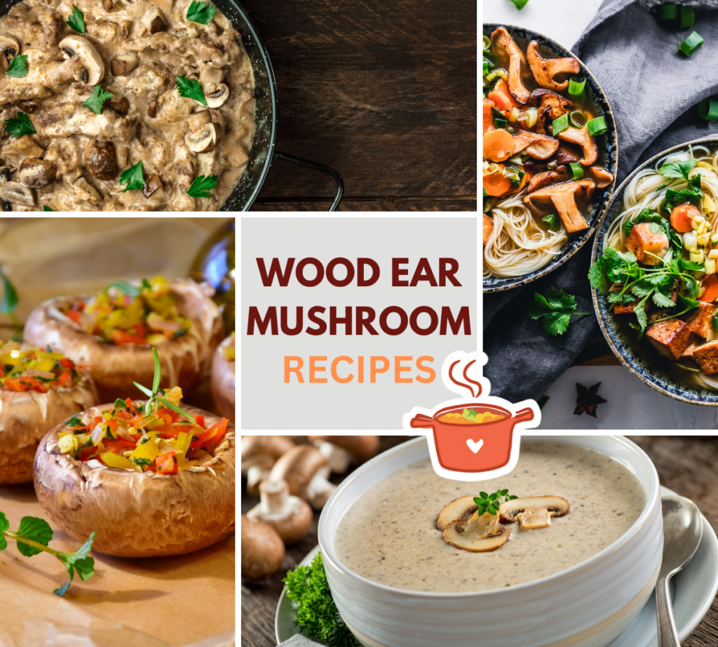 Wood Ear Mushroom Recipes: Salads, Soups and Pastas