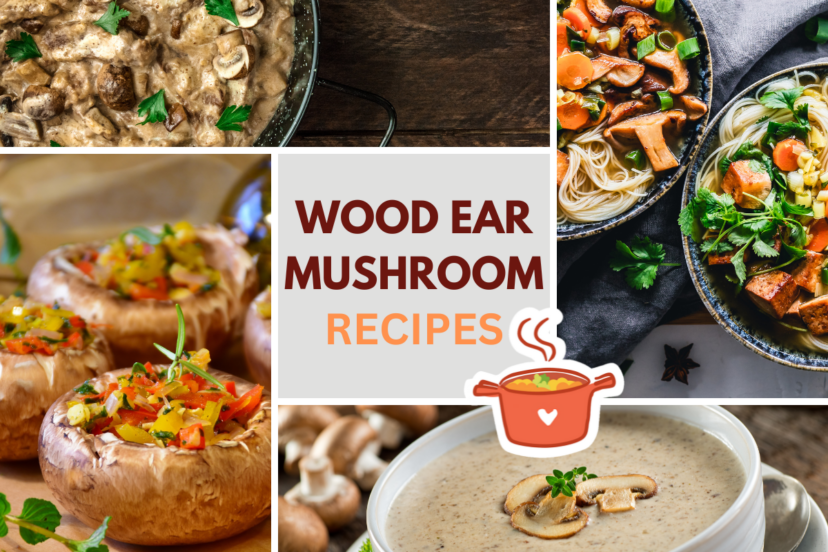 Wood Ear Mushroom Recipes: Salads, Soups and Pastas