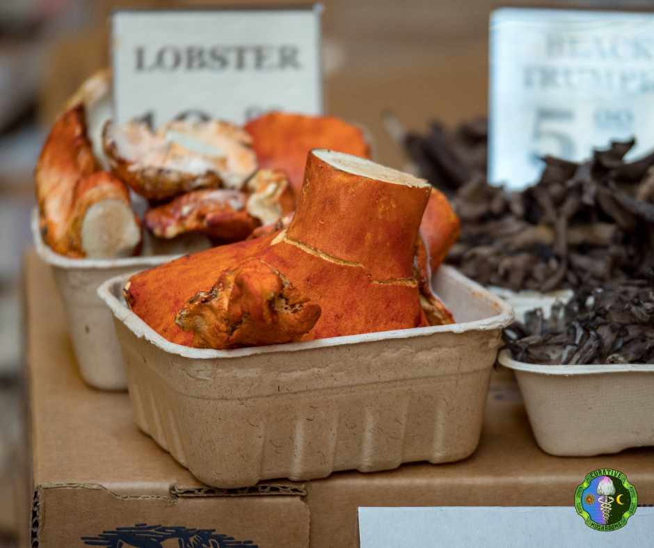 lobster mushroom taste